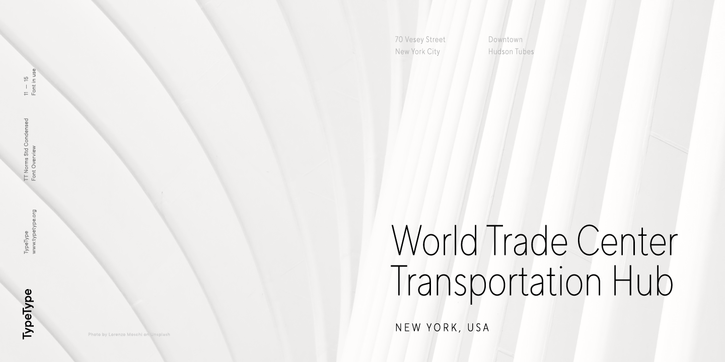 TT Norms Std Condensed